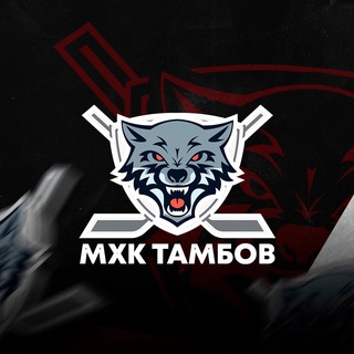 Аватар Молодёжный хоккейный клуб «Тамбов»