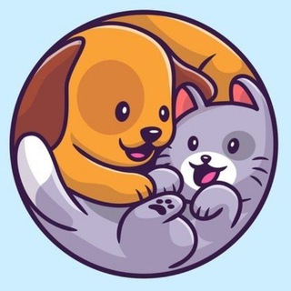 Аватар Telegram-канала ЖИВОТНЫЕ | ПИТОМЦЫ | ПРИРОДА