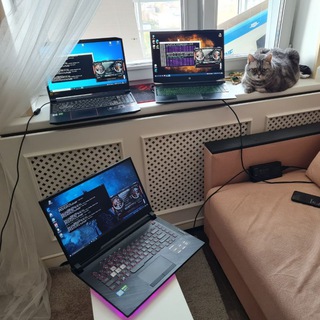 Аватар Telegram-канала Kitai Malai (оповещение о стримах и видео)