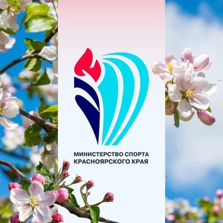 Аватар Министерство спорта Красноярского края