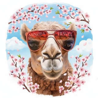 Аватар Telegram-канала Minzifa Travel | Нескучные туры