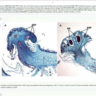 Аватар Женский форум 💅💅💅