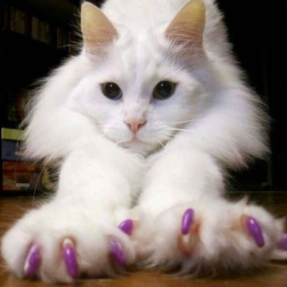 Аватар Telegram-канала nailsfile🫦