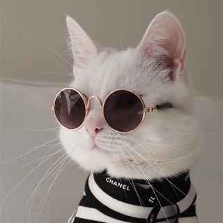 Аватар Telegram-канала Мода без расхода