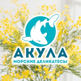 Аватар Telegram-канала Акула МОРЕПРОДУКТЫ БАТАЙСК