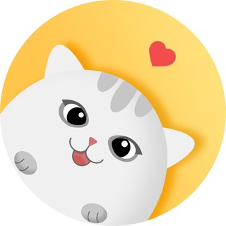 Аватар Telegram-канала Котики приюта ЮАО Москвы в Бирюлёво