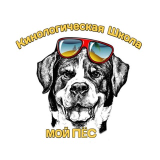 Аватар Telegram-канала Кинолог, зоопсихолог г. Канаш.