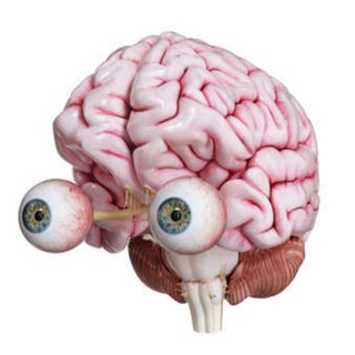 Аватар Мозг Ящер Инвест 🐙 облигации, акции, ЦФА