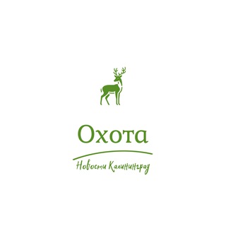 Аватар Telegram-канала Новости охоты Калининградской области