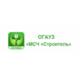 Аватар Telegram-канала Медико-санитарная часть «Строитель» ТОМСК