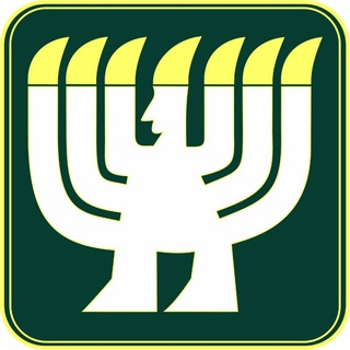 Аватар Музей современного искусства ЕАО