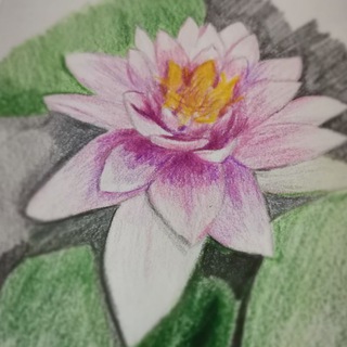 Аватар Telegram-канала Музыка 🎶 гармония