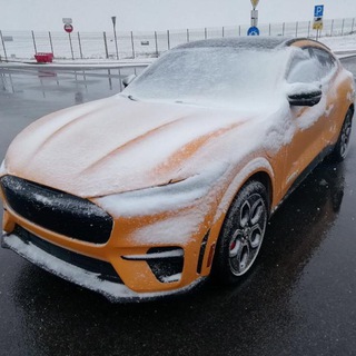 Аватар Telegram-канала Ford Mustang Mach-E Russia