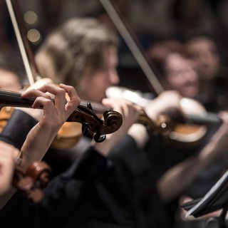 Аватар Telegram-канала Музыка | Классика