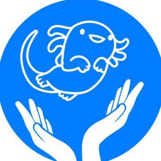 Аватар Telegram-канала Логопед. АВА. Москва. М. Чертановская | Мы вместе