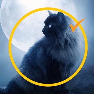 Аватар Telegram-канала Мистика. Реальные истории.