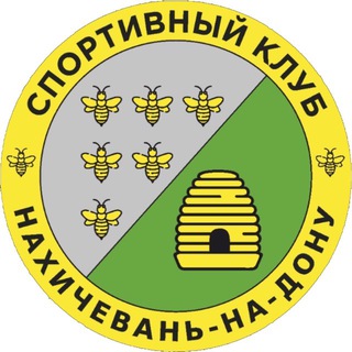 Аватар Telegram-канала НАХИЧЕВАНЬ | Спортивный клуб 🇦🇲