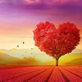 Аватар Telegram-канала Психолог на колёсах_Екатерина Мешкова