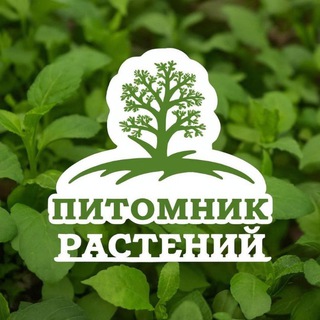 Аватар Telegram-канала Мини-питомник Поварово🌼🌺 Рассада, саженцы.