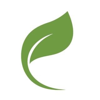 Аватар Telegram-канала Native English | Английский язык онлайн