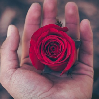 Аватар Telegram-канала Натуральная парфюмерия • AROMA SPACE