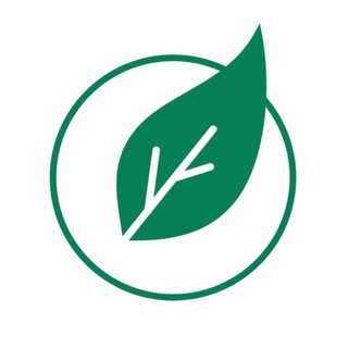 Аватар МОЯ НАУКА [официальный канал]