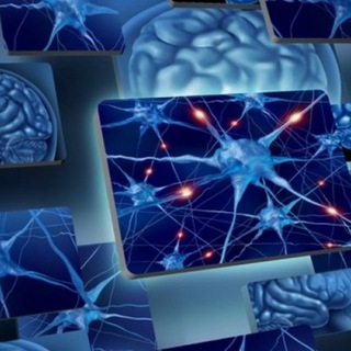 Аватар Telegram-канала Нейрофизиология — Neurophysiology