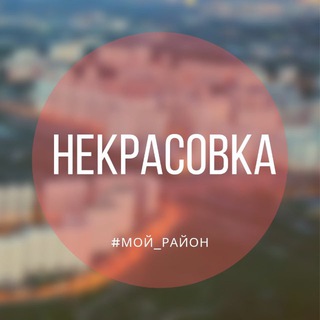 Аватар Telegram-канала НЕКРАСОВКА