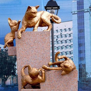 Аватар 72news. Новости Тюмени