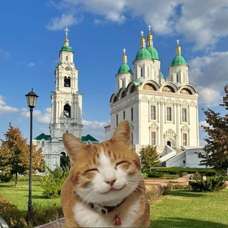 Аватар Telegram-канала Новости и Котики | Астрахань