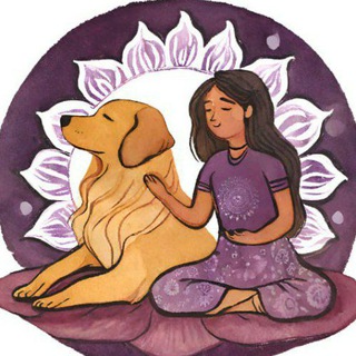 Аватар Telegram-канала NIEprosto pies. О непростых собаках и их людях