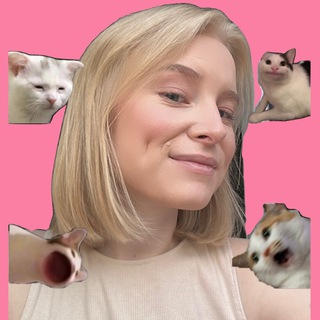 Аватар Telegram-канала NO REELS PLS (ШАБЛОНЫ МЕМОВ)