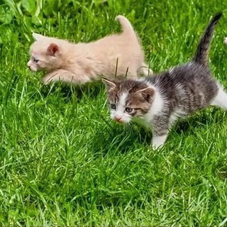 Аватар re:виев | ВГИК МШК