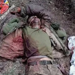 Аватар Telegram-канала Россия Украина видео