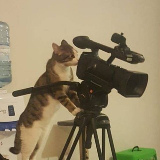 Аватар Telegram-канала NEWS.ru | Фото и видео