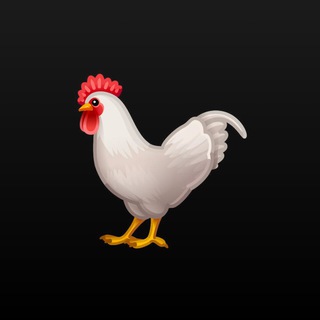 Аватар Telegram-канала Работа обвалька Курица Грудка 🇹🇯🇺🇿🇰🇿🇰🇬🇹🇲🇦🇿