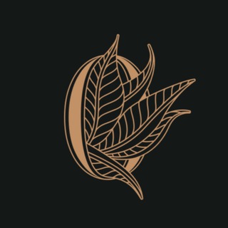Аватар Telegram-канала OLGA SHATROVA