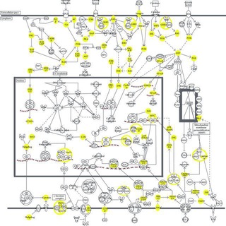 Аватар Очерки фундаментальной онкологии