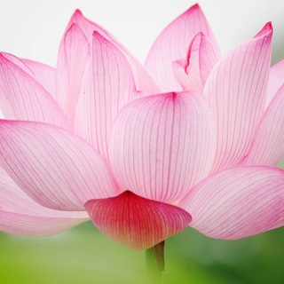 Аватар Даосские женские практики