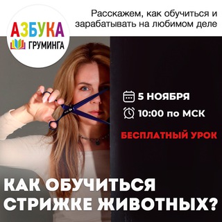 Аватар Как обучиться стрижке животных. Азбука Груминга.