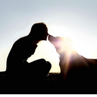 Аватар НАДЕЖДА на завтра. Защита животных