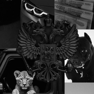 Аватар Telegram-канала Криминал🤍