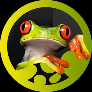 Аватар Telegram-канала Panteric 🐸 Экзотические Животные