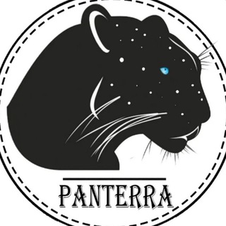Аватар Telegram-канала Panterra Forex/Roboforex копирование сделок