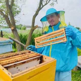 Аватар Telegram-канала Пасека АДАМОВЫХ