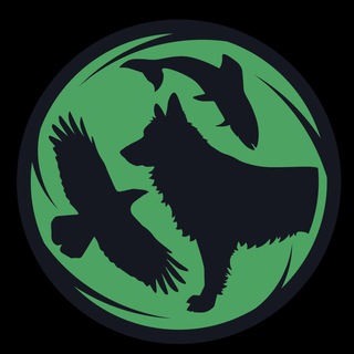 Аватар Каникулы в Школе Парадовского