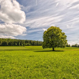 Аватар Стресс-Тревога-Помощь
