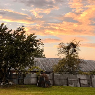 Аватар Telegram-канала Скучающая домохозяйка