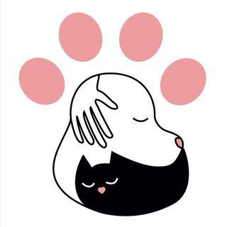 Аватар Telegram-канала «Верный друг» — приют для бездомных животных