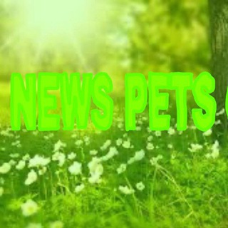 Аватар Telegram-канала Новости пет гоу⁉️